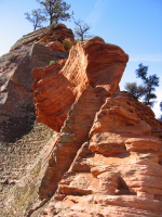 Curious sandstone formation on Angel's Landing trail.