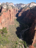 View north up the narrows of Zion Canyon from Angels Landing.