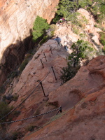 View down the trail from Angel's Landing.