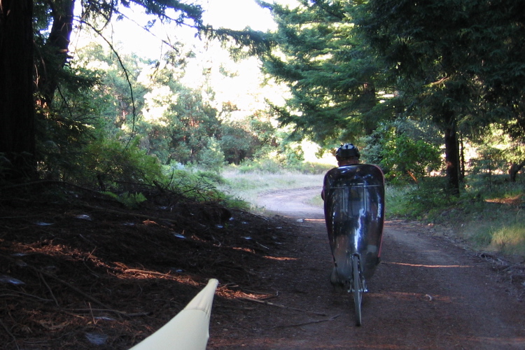 Descending the Aptos Creek Fire Road. (2200ft)