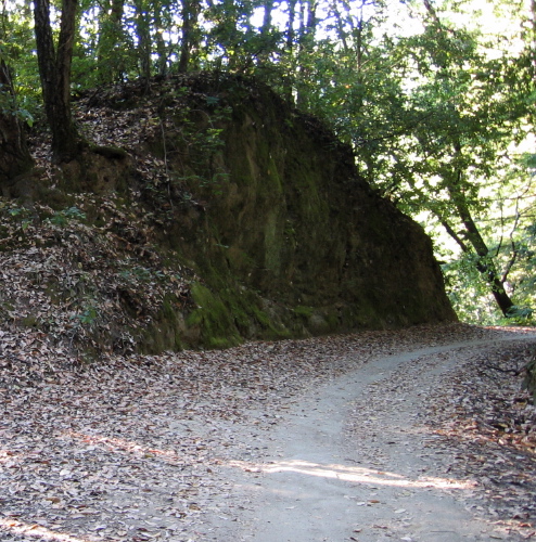 The road passes through a cut. (1490ft)