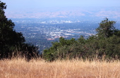 Downtown San Jose from Aquinas Trail.