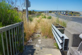 After pressing through the weeds, one must ride counterflow on the shoulder of an the on-ramp below, then cross on the bridge to the north side of CA37 before resuming a westbound journey.