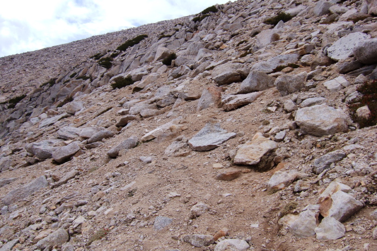 The use trail winds its way up through this stuff for another 400 vertical feet before reaching the ridge.