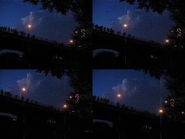 The Departure of the Bats from the Congress Ave. Bridge