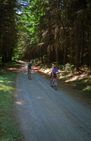 Scott and Hildy ride down Old Haul Rd.