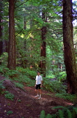 Bill in the forest along Tunitas Creek Rd. (1)