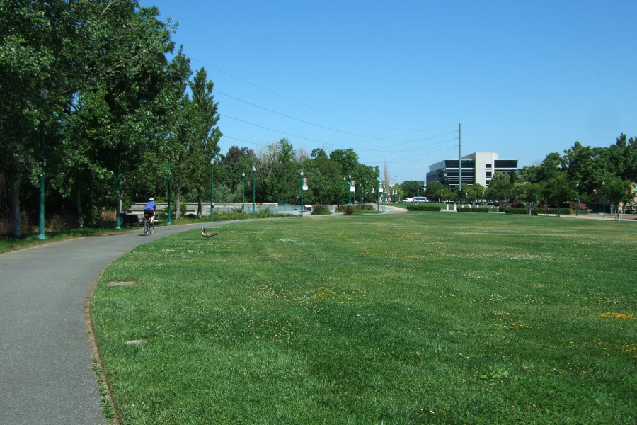 Frank passes a lone goose.