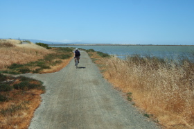 Bill leads on a short section of trail near Shoreline Park.