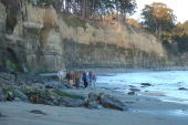 The group walks on the beach and rocks below the cliffs at low tide.