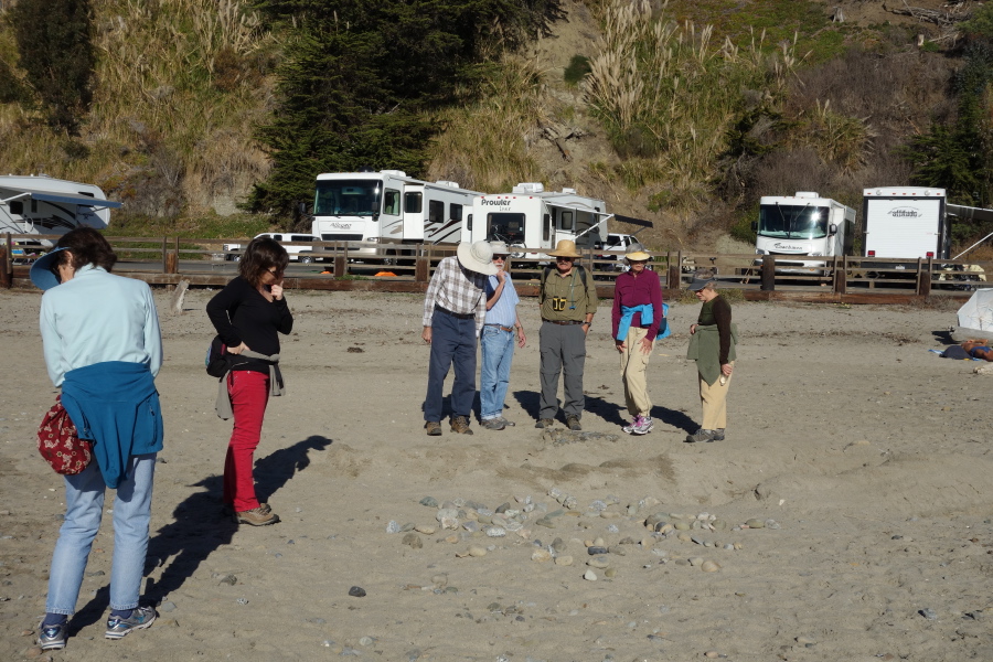 The group ponders a disturbance in the sand.