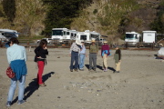 The group ponders a disturbance in the sand.