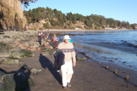 David walks beneath the cliffs of Capitola during low tide.