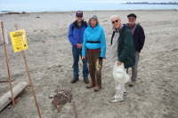 Glen, Alice, David, and Ron examine the remains of a marine mammal.