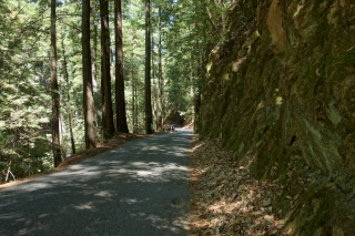 Upper Zayante Road climbs alongside a moss-covered cliff.