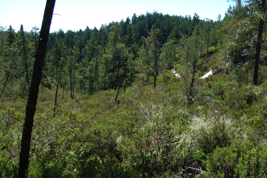 Sunset Trail passes through a short section of hot, open land.