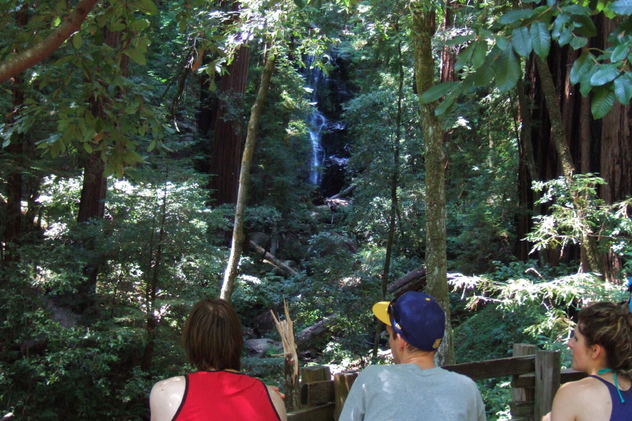 Hikers enjoy a distant view of Berry Creek Falls.
