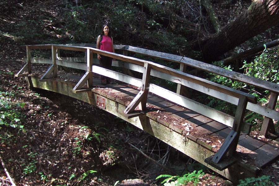 This bridge, also on Alternate Trail, inspired more confidence.