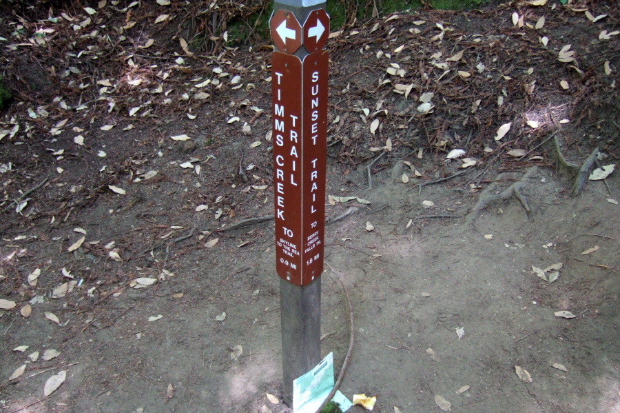 Junction of Sunset Trail and Timms Creek Trail