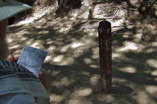 Frank checks his map at the start of Berry Creek Falls Trail.