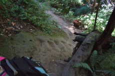 The trail climbs some steps cut into sandstone.