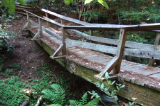 This bridge on Alternate Trail did not inspire confidence.