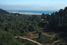 Waddell Creek Beach from Skyline-to-the-Sea Trail.