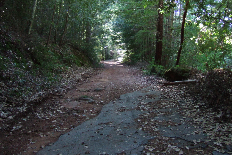 Little Basin Road, end of pavement