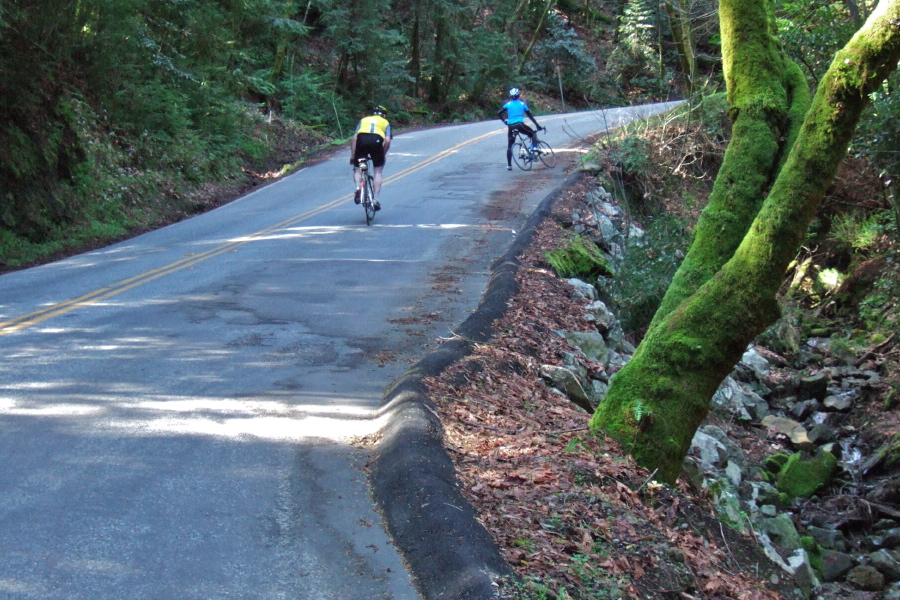 Two cyclists climb the steep section of Redwood Gulch Rd.