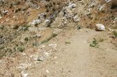 Typical rockfall on the road.