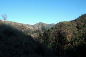 View down the Nacimiento River canyon.