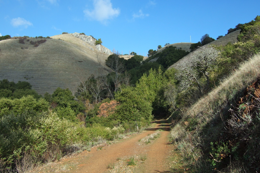 View of Montebello Ridge from Waterwheel Creek Trail