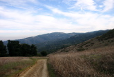 Top of the Spring Ridge Trail