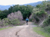 Steve descends the Spring Ridge Trail (2)