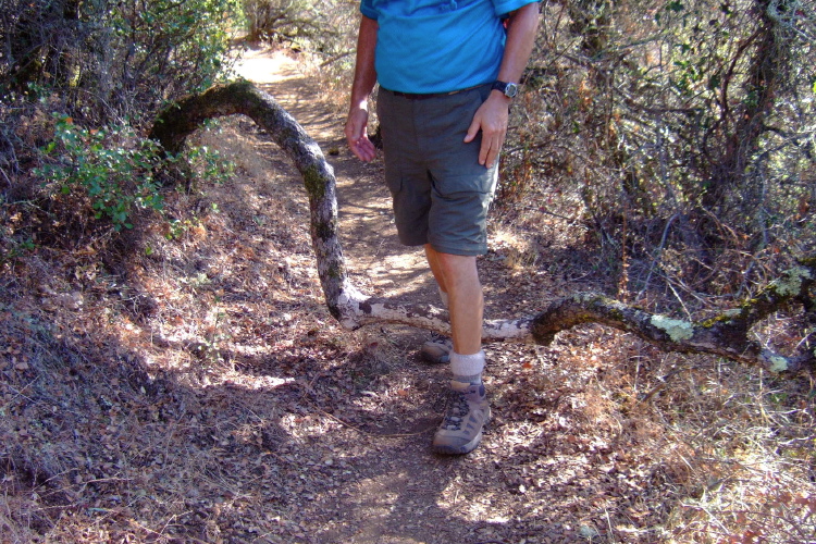 Branch across the Hostel Trail.