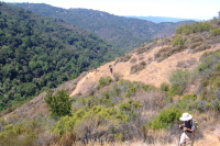 David nears the top of the Adobe Creek Trail.