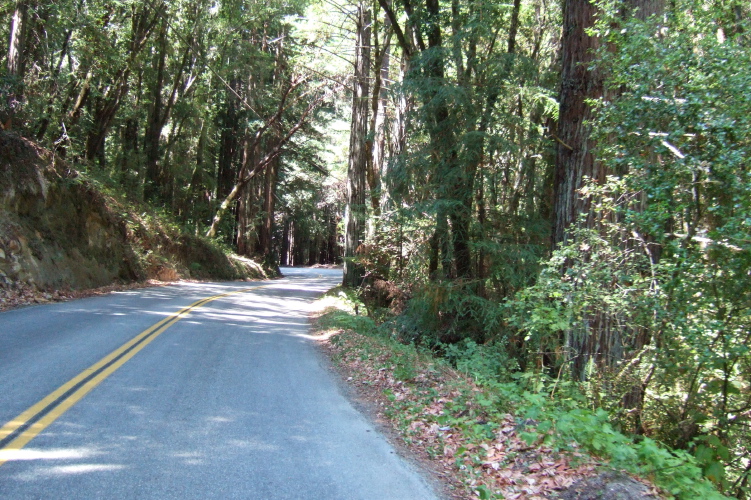 Climbing Smith Grade Rd. to Empire Grade Rd.