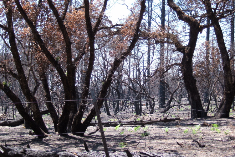 View toward southwest on Martin Rd.