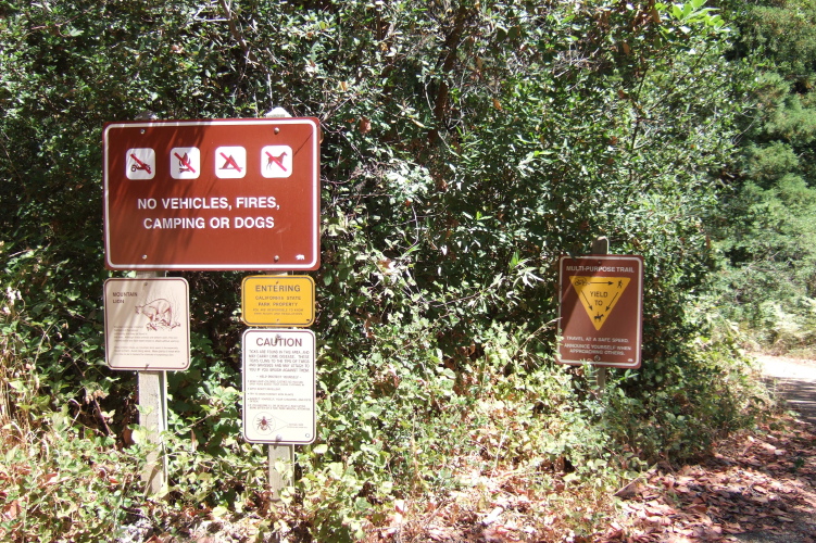 Trail from Smith Grade Rd. into Wilder Ranch State Park.