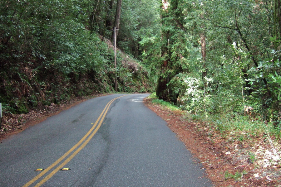 Descending to Laguna Creek on Ice Cream Grade Rd.