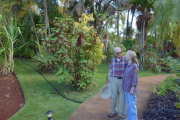 David and Kay at the National Tropical Botanical Garden (2)
