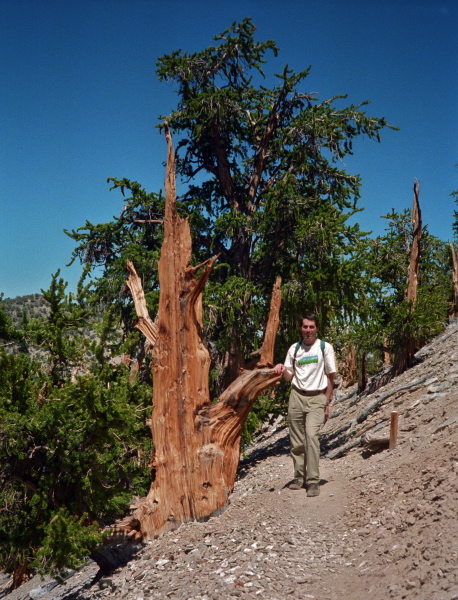 Bill on the Methuselah Trail (3)