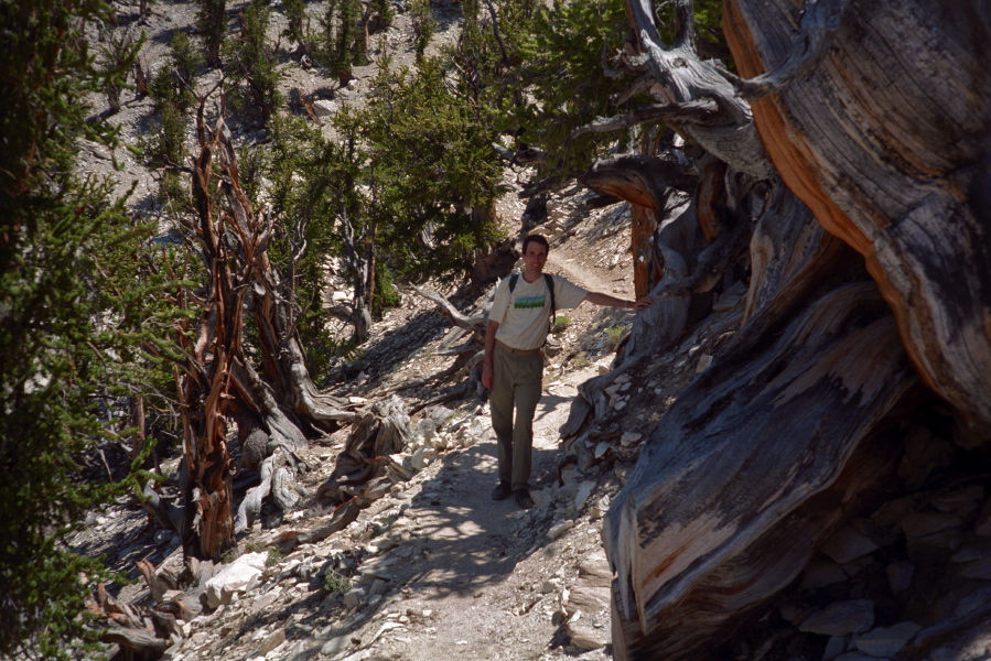 Bill on the Methuselah Trail