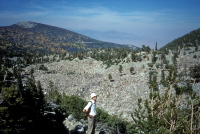 David in the bristlecone pine forest