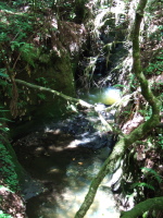 Jones Creek