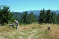 View of the Towne Creek watershed