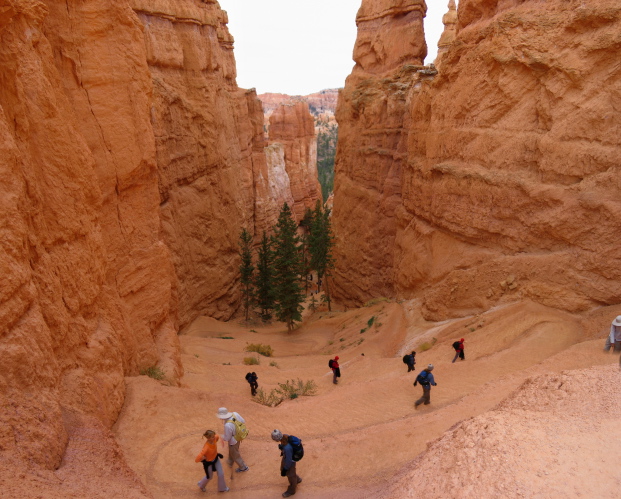 Navajo Trail descending into Bryce Canyon.