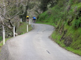 Welch Creek Rd., midway up