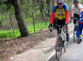 Jeff Schweninger and Laurel Holding ride north with Paul Detering's arm on Foothill Rd., Pleasanton.