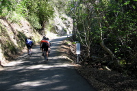 Starting up the steep part of Welch Creek Rd.